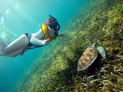 Esnórquel en Cancún con Tortugas, Arrecife, Estatuas Submarinas, Naufragio y Cenote Submarino