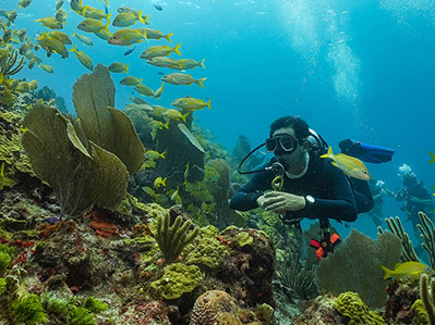 buceo marina